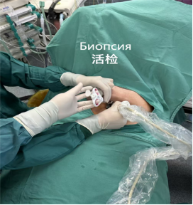 fuda26_674774.png image.png