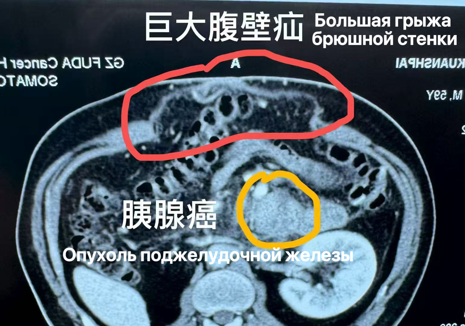 fuda27_554358.jpg
