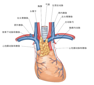 fuda16_393694.png image.png